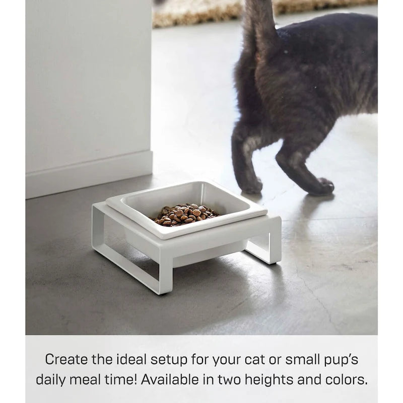 Yamazaki Home Single Pet Food Bowl - Two Styles, Steel and Ceramic, Short, 1.25 - L 6.1 x W 5.91 x H 2.36 inches