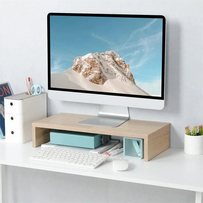 20 inch Monitor Stand Riser
